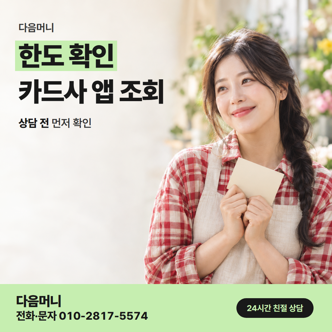 다음머니 포항카드깡 한도 확인